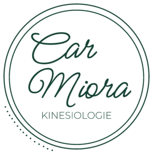 Car (1)